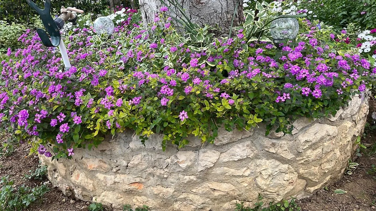 Apartments Ursic Split Croatia