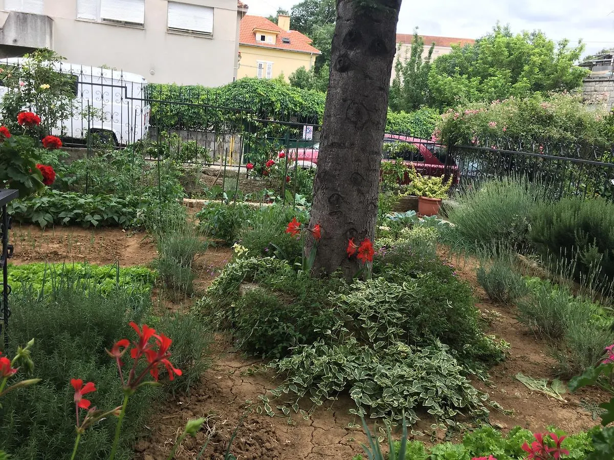 Apartments Ursic Split